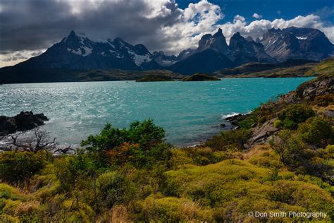 Fishing in Patagonia: Where Water and Wilderness Meet